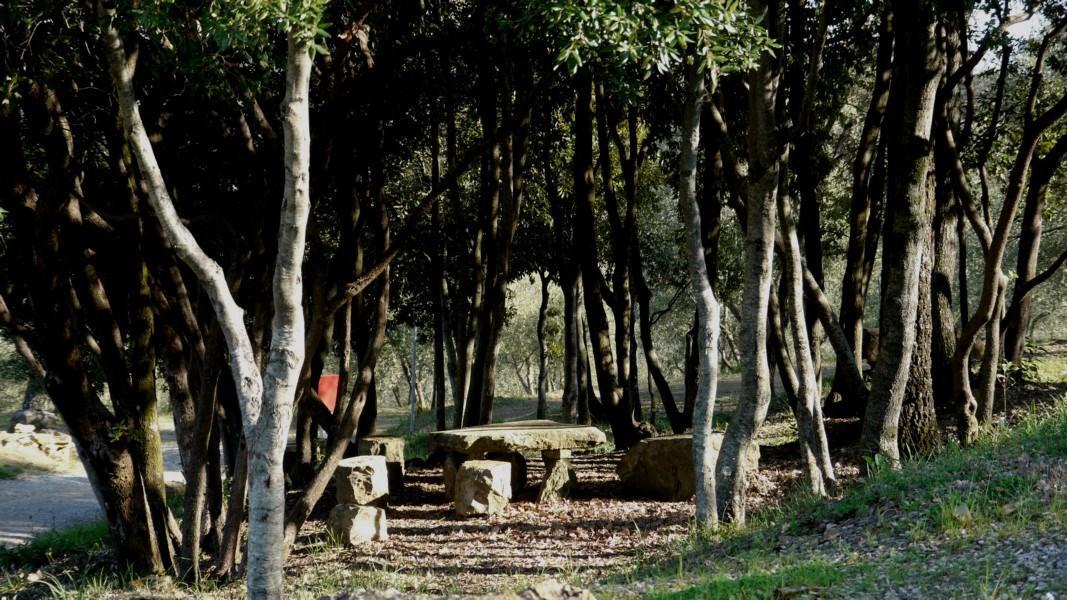 Camping Le Soline Casciano Di Murlo Exterior photo